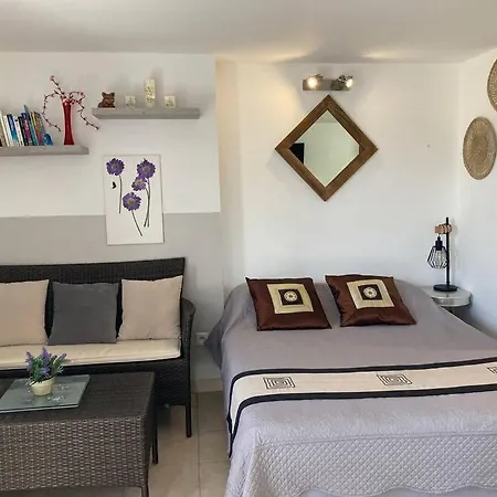 A 200m Du Centre De Vecchio,jardin, Terrasse Parking Prive Tatil Evi