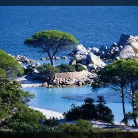 A 200m Du Centre De Vecchio,jardin, Terrasse Parking Prive Tatil Evi