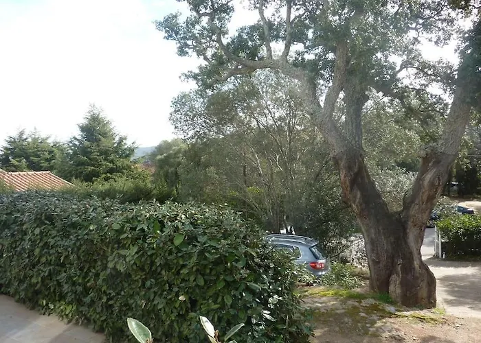 A 200m Du Centre De Vecchio,jardin, Terrasse Parking Prive Tatil Evi Porto-Vecchio (Corsica)