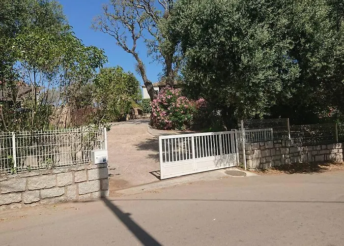 Tatil Evi A 200m Du Centre De Vecchio,jardin, Terrasse Parking Prive *