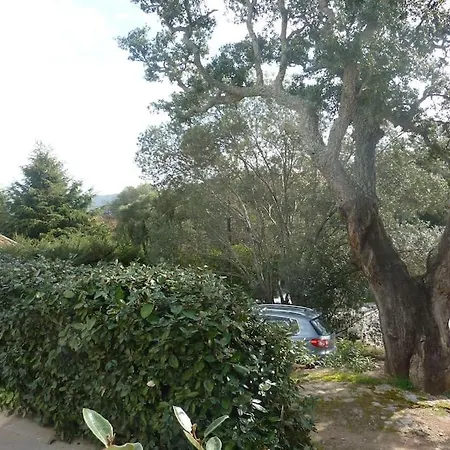 A 200m Du Centre De Vecchio,jardin, Terrasse Parking Prive بيت للعطل بورتو فيكشْيو