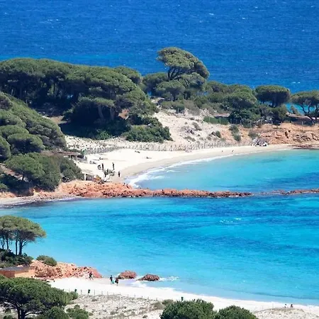 بيت للعطل A 200m Du Centre De Vecchio,jardin, Terrasse Parking Prive *