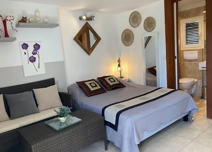 A 200m Du Centre De Vecchio,jardin, Terrasse Parking Prive بيت للعطل