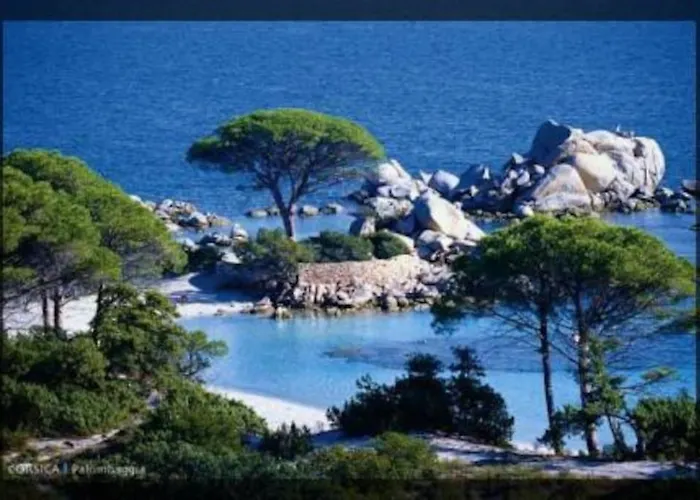 A 200m Du Centre De Vecchio,jardin, Terrasse Parking Prive بيت للعطل