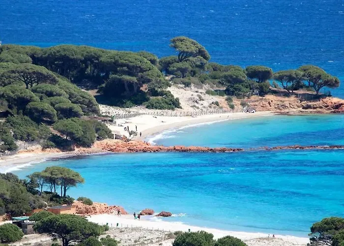 بيت للعطل A 200m Du Centre De Vecchio,jardin, Terrasse Parking Prive *